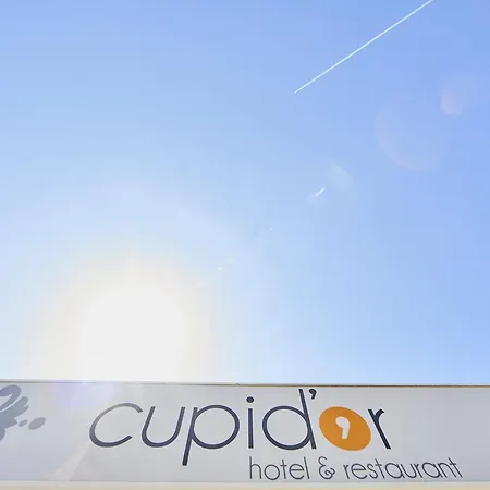 호텔 Cupidor 3*