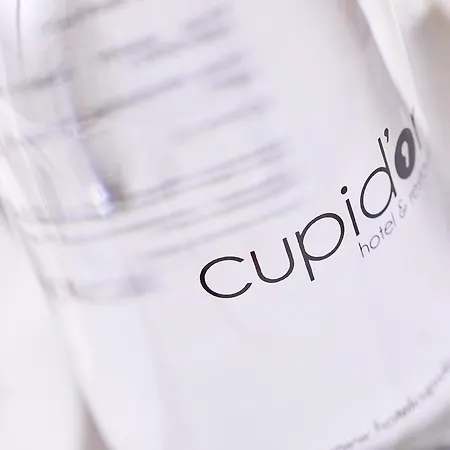 호텔 Cupidor 3*